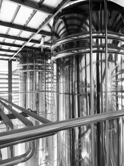 Fermentation précise pour la production de masse